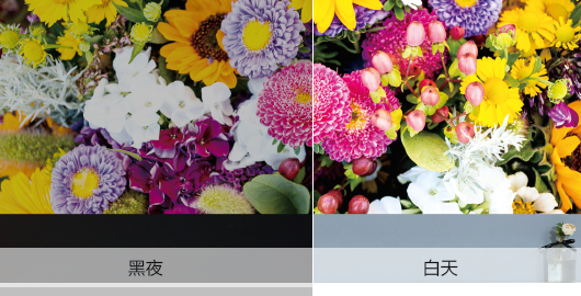 爱普生CH-TZ3000(图4)